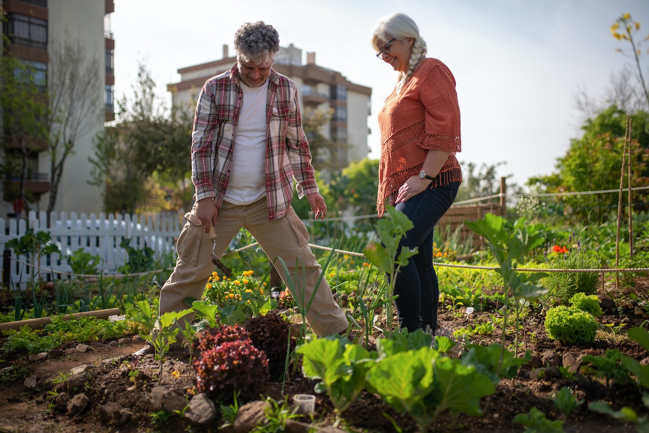 Le potager en hauteur : une tendance pratique et accessible - XS Crusher