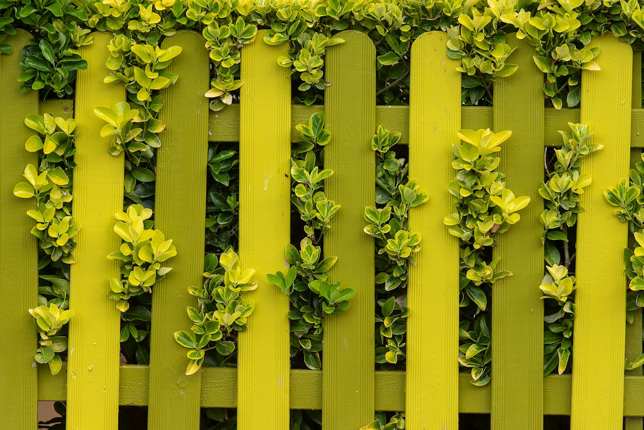 Décoration terrasse extérieure moderne 